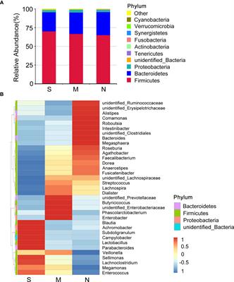 Gut microbiota composition is associated with disease severity and host immune responses in COVID-19